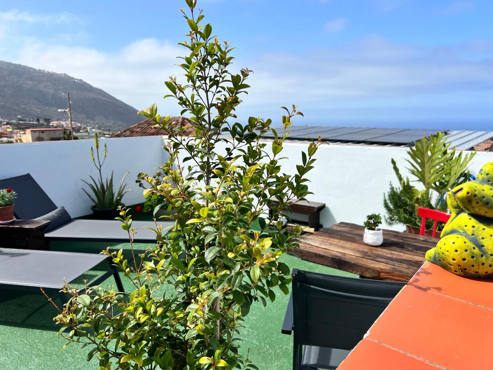 The Little Brezo Stone Home Tenerife Los Realejos Zewnętrze zdjęcie